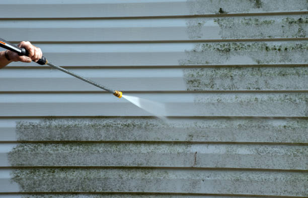 Animal Enclosure Cleaning in St Louis, MI
