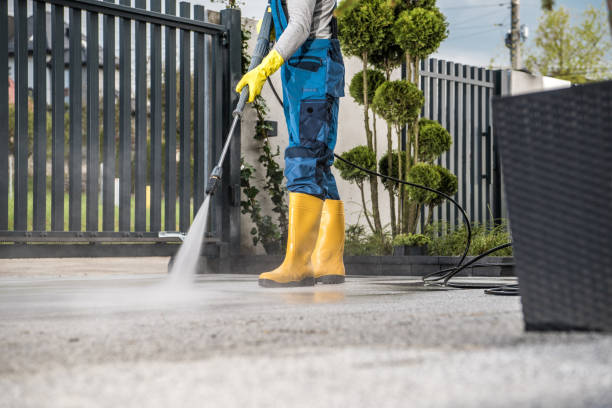 Best Pool Deck Cleaning  in St Louis, MI