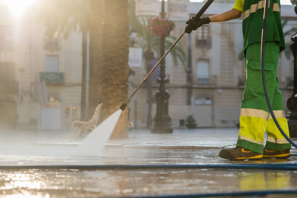 Best Residential Exterior Washing  in St Louis, MI